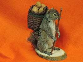 TAXIDERMY FOR SALE